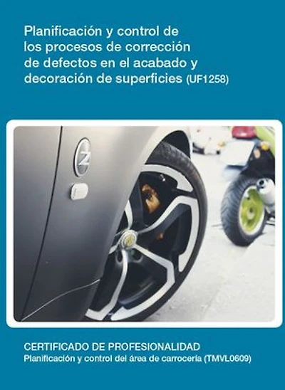 UF1258 - Planificación y control de los procesos de corrección de defectos en el acabado y decoración de superficies