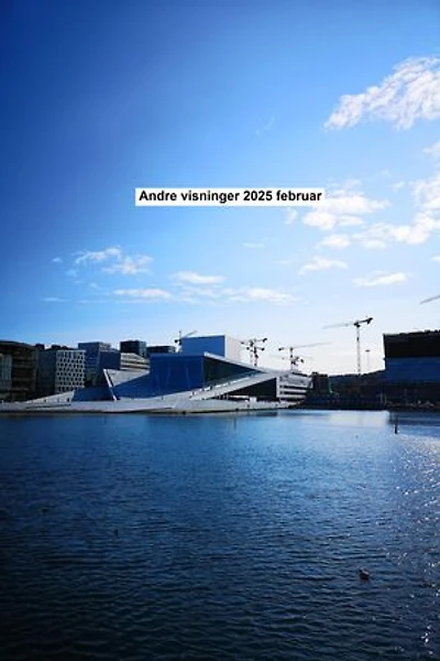 Andre visninger 2025 februar