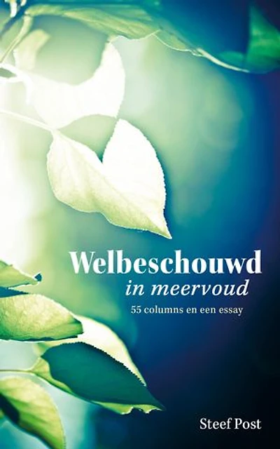 Welbeschouwd in meervoud: 55 columns en een essay