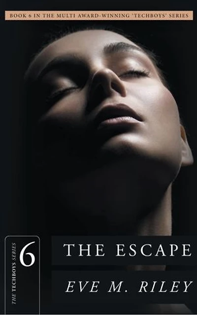 The Escape: A witty, emotional second-chance love story