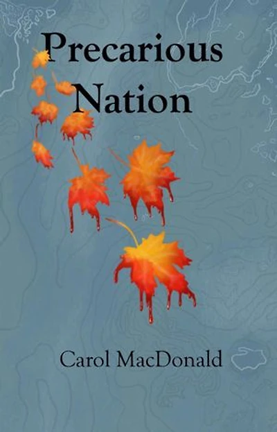 Precarious Nation