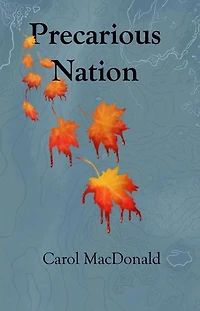 Precarious Nation
