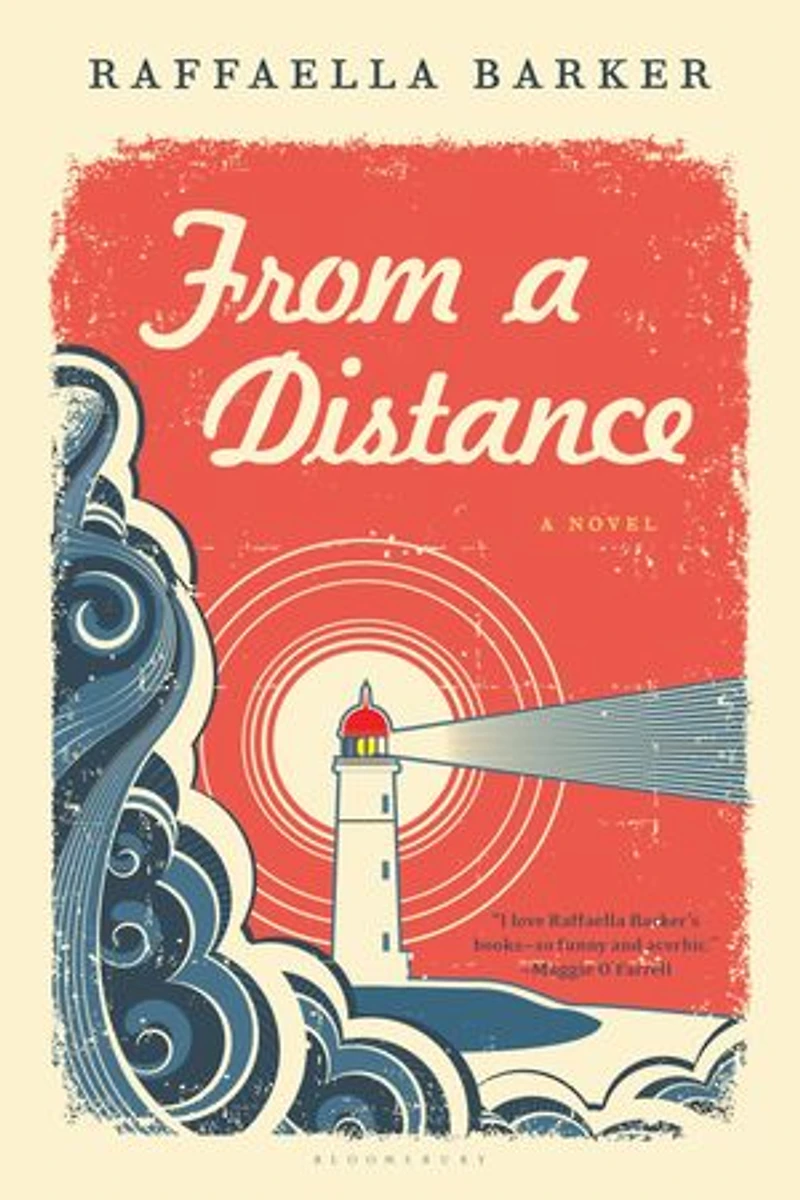 From a Distance: A Novel