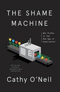 The Shame Machine: Who Profits New Age Of Humiliation