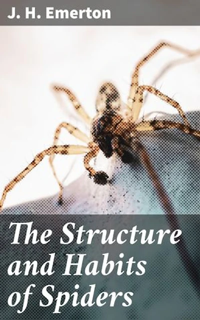 The Structure and Habits of Spiders: Unraveling the Mysteries of Arachnids: A Deep Dive into Spider Anatomy, Behaviors, and Ecology