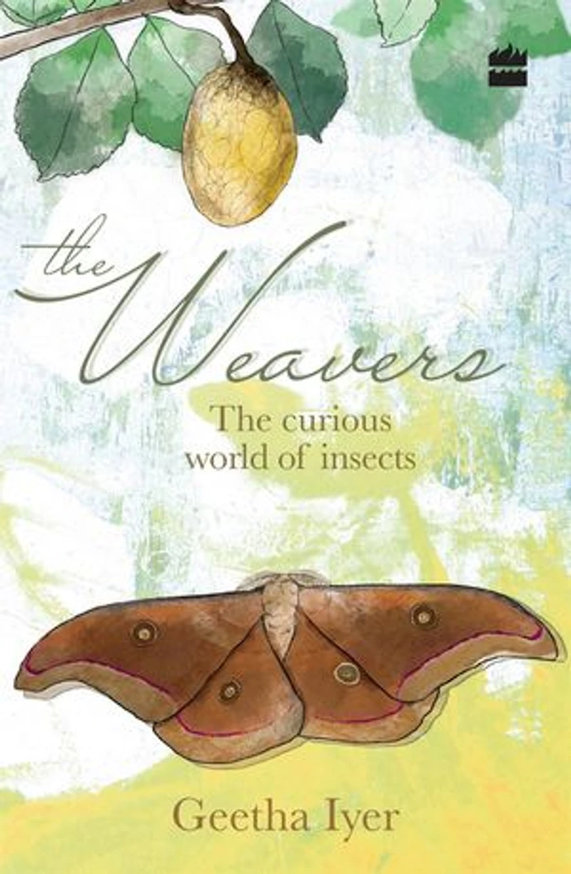 The Weavers: Curious World of Insects
