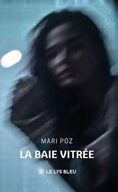 La baie vitrée