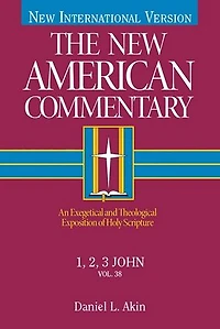 1,2,3 John: An Exegetical and Theological Exposition of Holy Scripture