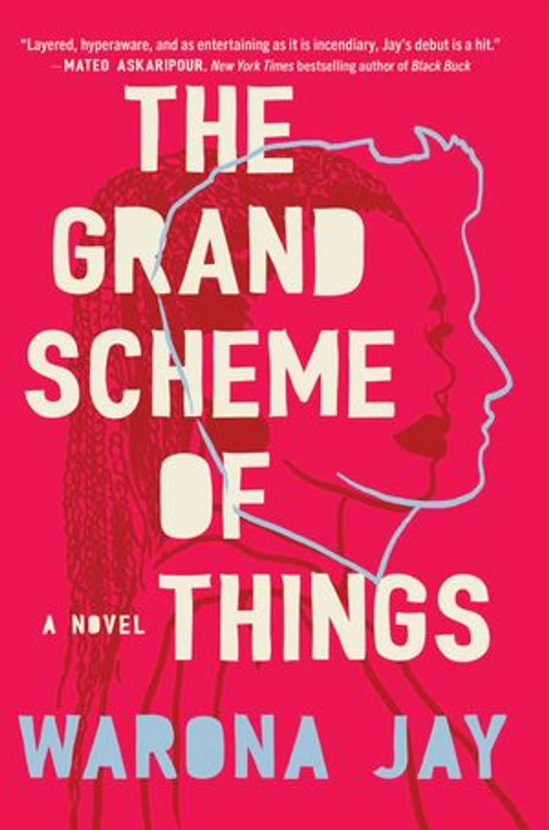 The Grand Scheme of Things: A Novel