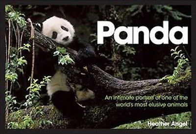Panda: An Intimate Portrait Of One Of The World's Most Elusive Characters