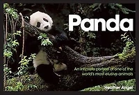 Panda: An Intimate Portrait Of One Of The World's Most Elusive Characters