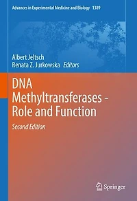 Dna Methyltransferases - Role And Function
