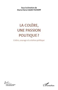 La colère, une passion politique ? (volume 3) - cour