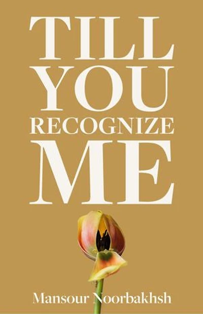 Till You Recognize Me: Poems
