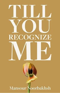 Till You Recognize Me: Poems