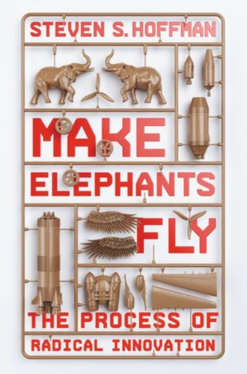 Make Elephants Fly: The Process Of Radical Innovation