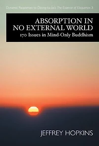Absorption No External World: 170 Issues Mind-Only Buddhism