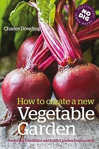 How to Create a New Vegetable Garden: Producing beautiful and fruitful garden from scratch