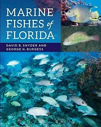 Marine Fishes of Florida