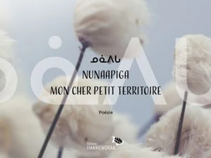 ᓄᓈᐱᒐ / Nunaapiga Mon cher petit territoire