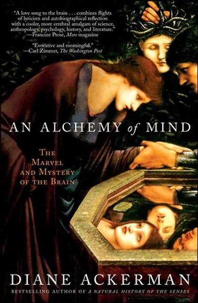 An Alchemy of Mind: the Marvel and Mystery Brain