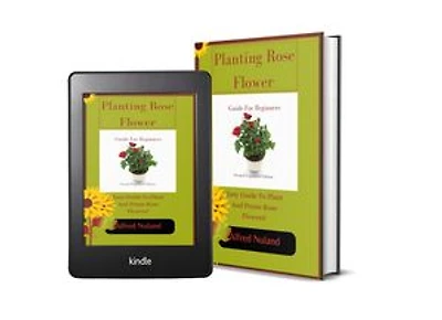 How To Plant Rose Flower: Easy Guide To Plant And Prune Rose Flower