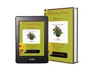 How To Plant Rose Flower: Easy Guide To Plant And Prune Rose Flower