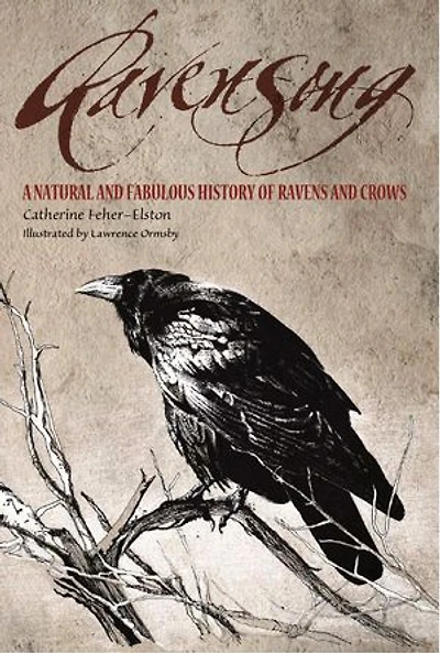 Ravensong: A Natural And Fabulous History Of Ravens Crows
