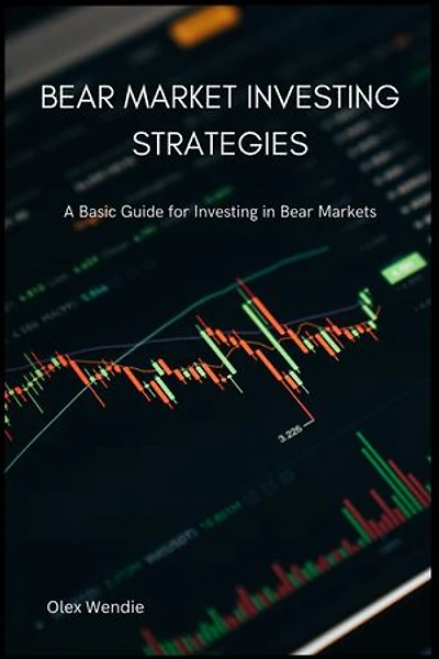 Bear Market Investing Strategies: A Basic Guide for Investing in Bear Markets