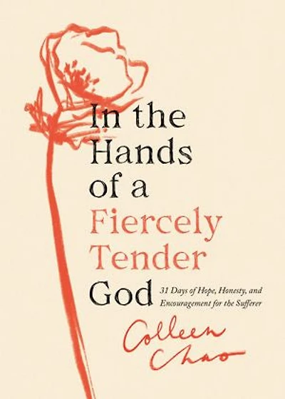the Hands of a Fiercely Tender God: 31 Days Hope, Honesty, and Encouragement for Sufferer