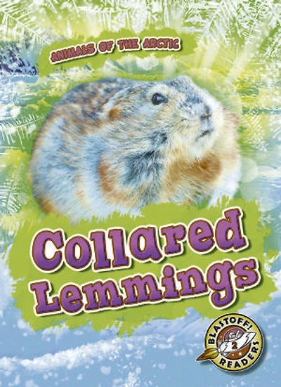 Collared Lemmings