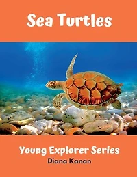 Sea Turtles
