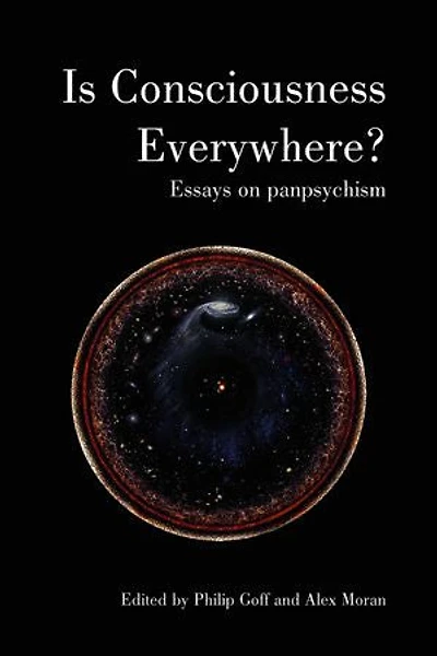 Is Consciousness Everywhere?: Essays on Panpsychism
