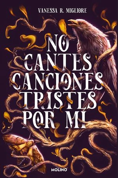 No cantes canciones tristes por mí / Don't Sing Sad Songs Because of Me