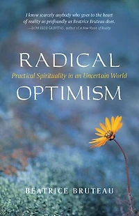 Radical Optimism: Practical Spirituality in an Uncertain World
