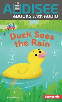Duck Sees the Rain