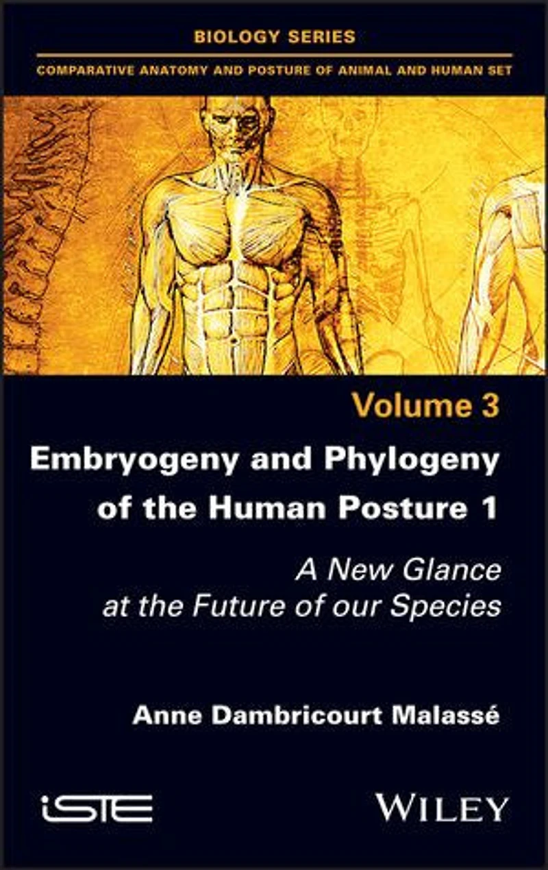 Embryogeny and Phylogeny of the Human Posture 1: A New Glance at Future our Species