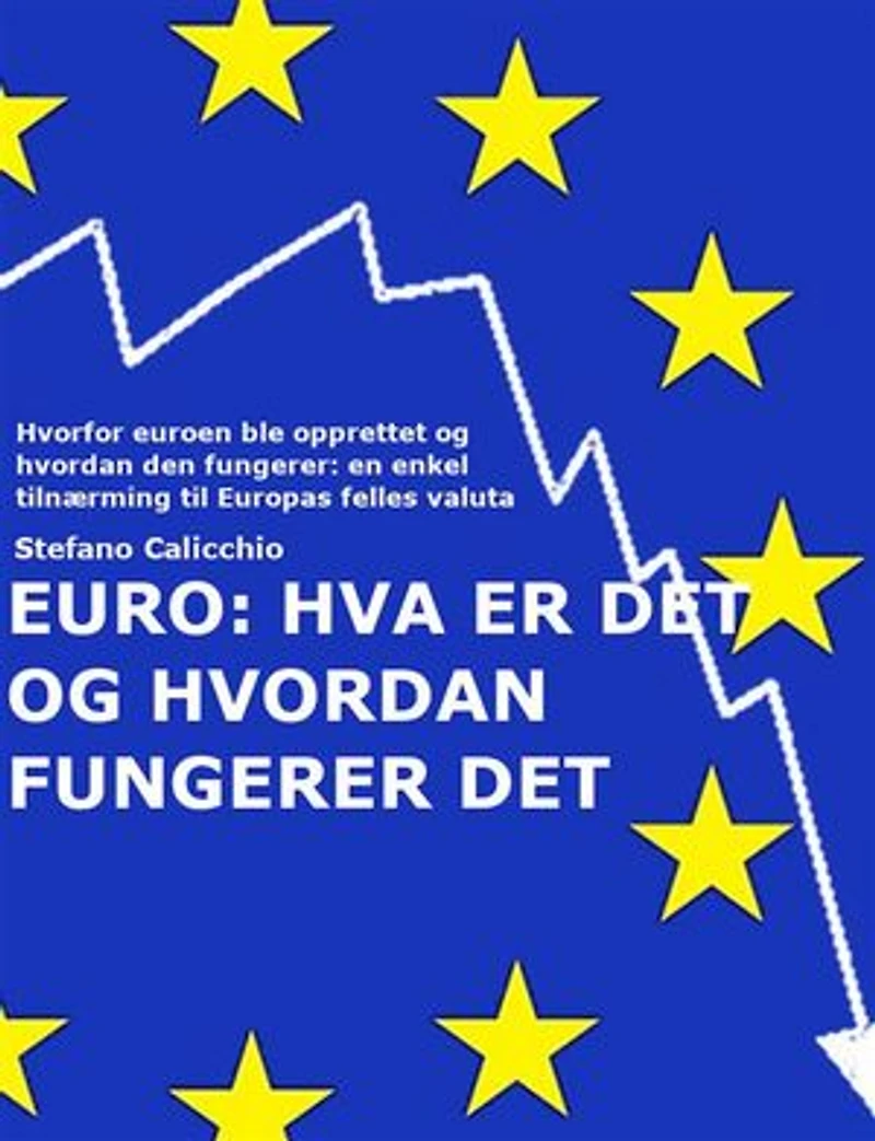 EURO: Hva er det og hvordan fungerer den: Hvorfor euroen ble opprettet og hvordan den fungerer: en enkel tilnærming til Europas felles valuta