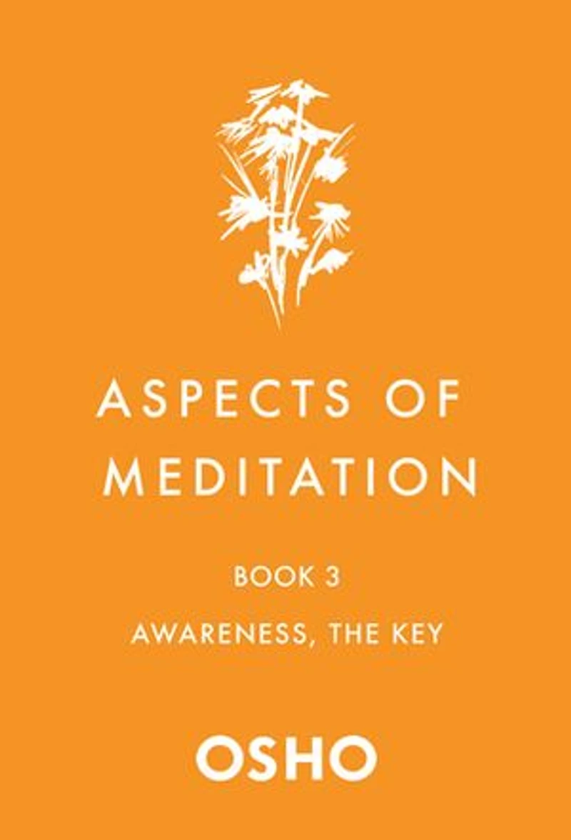 Aspects of Meditation Book 3: Awareness