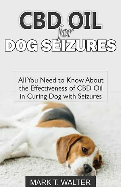 CBD Oil for Dog Seizures: All You Need to Know About the Effectiveness of CBD Oil in Curing Dog with Seizures