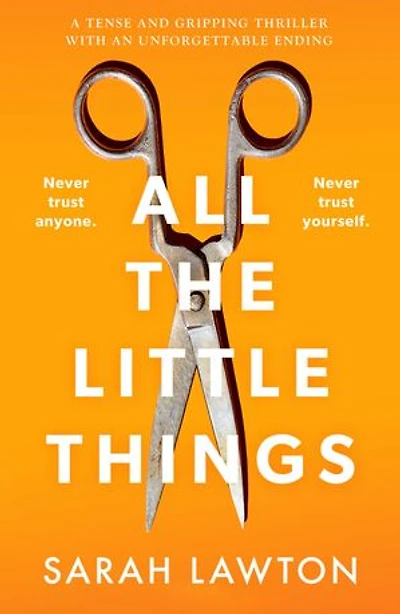 All The Little Things: A tense and gripping thriller with an unforgettable ending