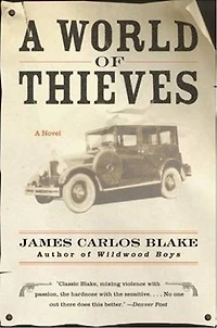 A World of Thieves: Novel