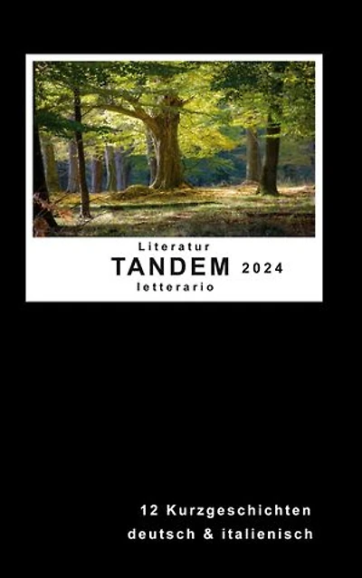 Literatur Tandem letterario