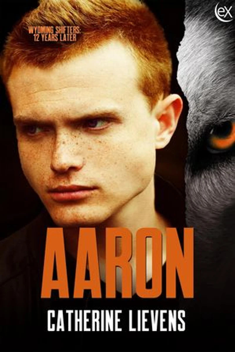 Aaron: Wyoming Shifters: 12 Years Later, #11
