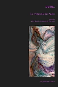 Le crépuscule des Anges, tome 12b : Apostille