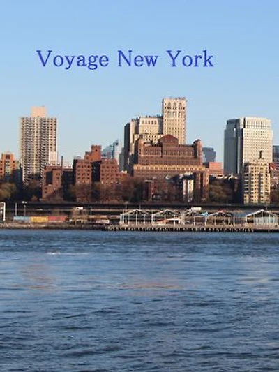 New York Voyage
