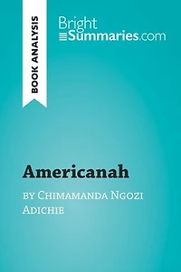 Americanah by Chimamanda Ngozi Adichie (Book Analysis): Detailed Summary, Analysis and Reading Guide