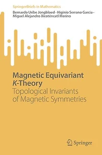 Magnetic Equivariant K-Theory: Topological Invariants of Symmetries