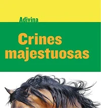 Crines majestuosas (Majestic Manes): Caballo (Horse)