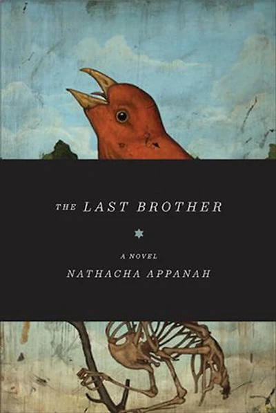 The Last Brother: A Novel